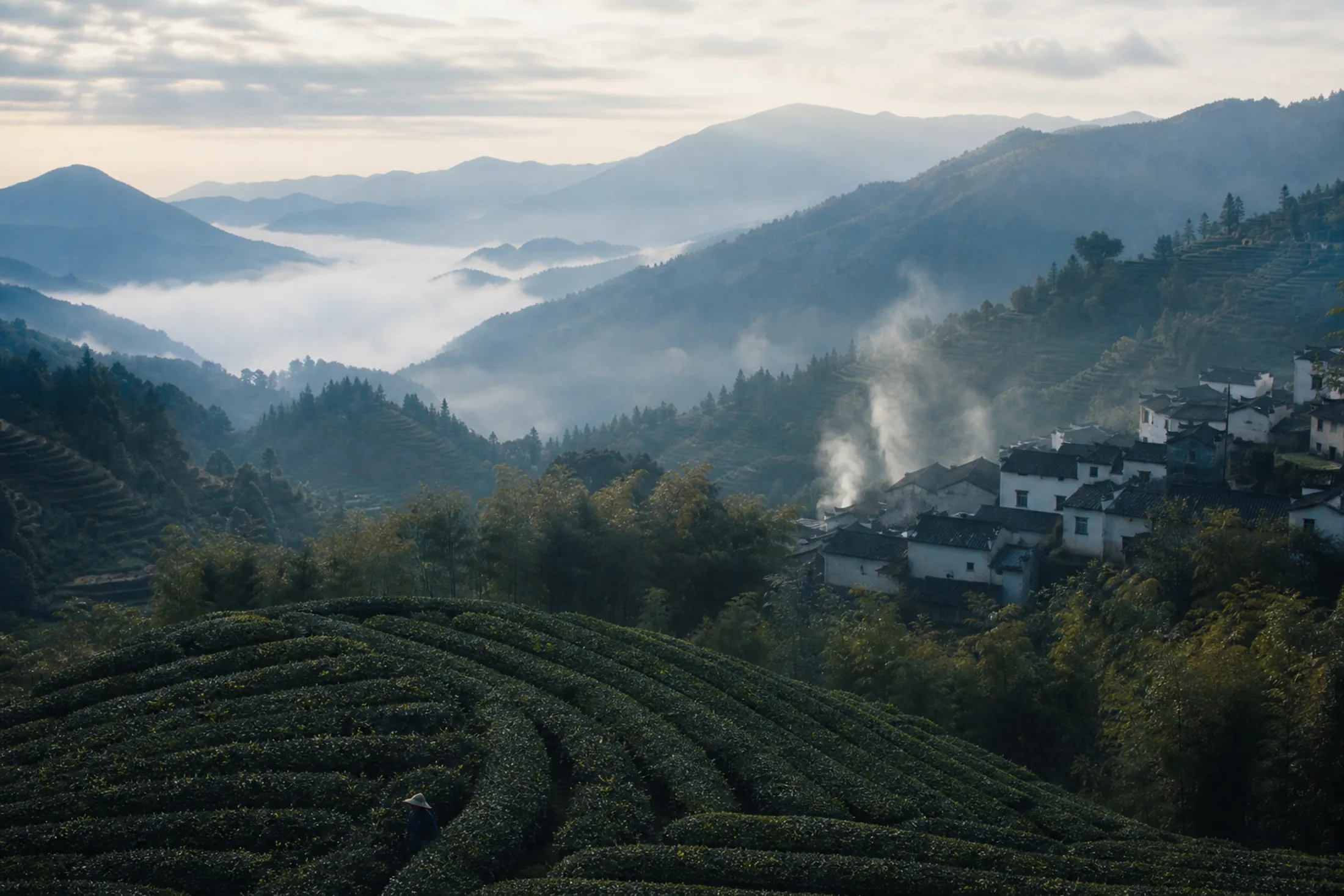 Tea terraces in Yunnan